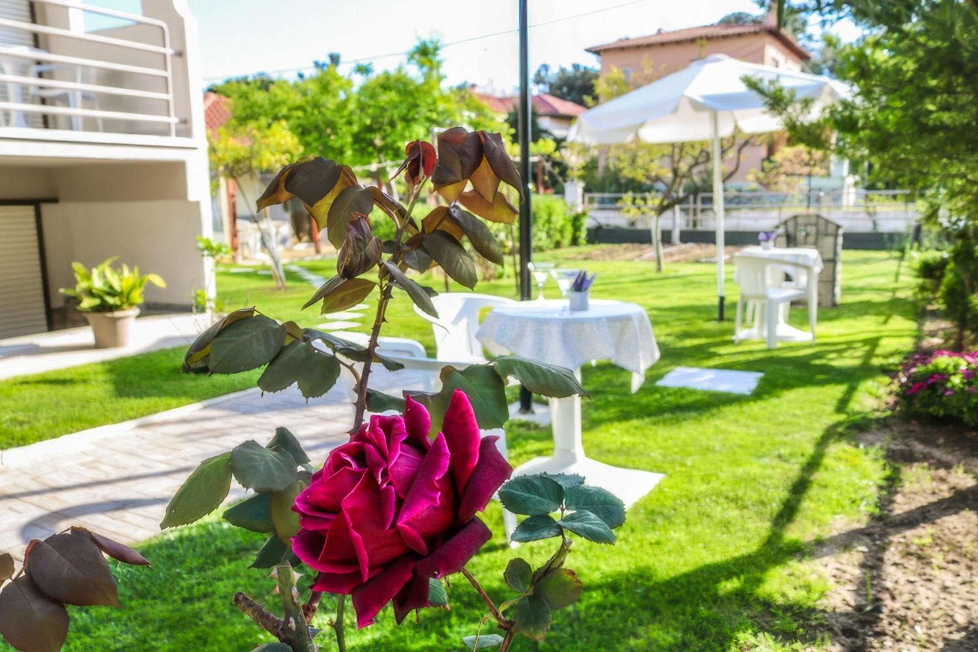 Vlachogiannis Hotel Prínos Extérieur photo